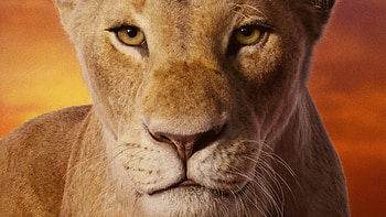 The Lion King, Simba and Nala, Lion King HD wallpaper