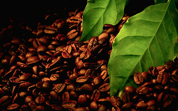 Food, Leaves, Coffee HD wallpaper