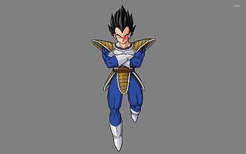 Vegeta Dragon Ball Z 2 Anime 7120 HD wallpaper