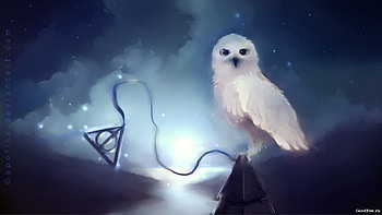 Animals, Owl HD wallpaper