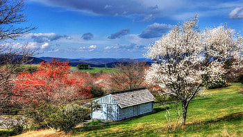 Spring in the Mountains, house, blossoms, clouds, trees, landscape, sky HD wallpaper