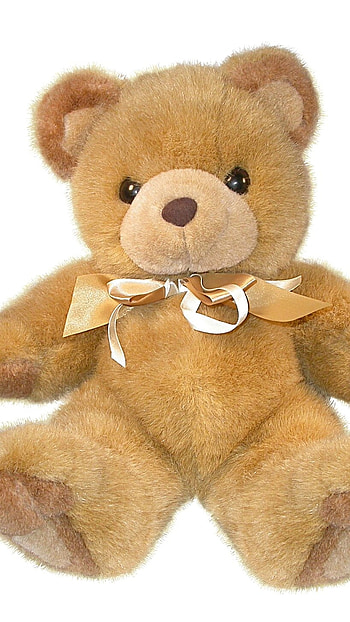 Teddy Wale, Cute, Teddy, Toy HD phone wallpaper