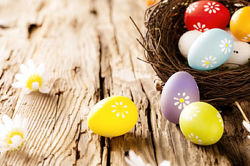 Easter, wood, camomile, flowers, eggs, nest HD wallpaper