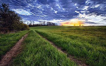 Nature, Grass, Sun, Clouds, Shine, Light, Rays, Beams, Road, Field, Layers, Evening, Traces HD wallpaper