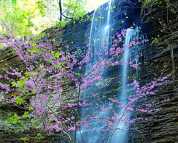 Beautiful Waterfall, cool, waterfall, beautiful HD wallpaper