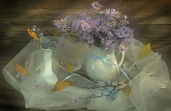 Still life, delicate, flowers, lovely HD wallpaper