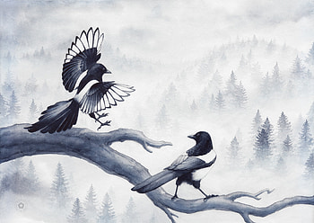 Magpies, victorine stolz, black, bird, fantasy, art, bw, pasari, white HD wallpaper