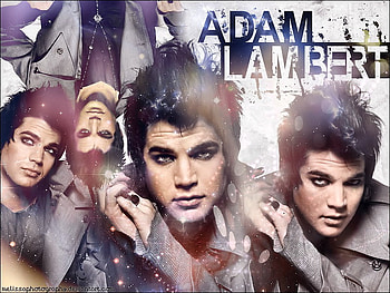 adam lambert!!!!!!!!!!!!!, ol, lo, lol, lool HD wallpaper