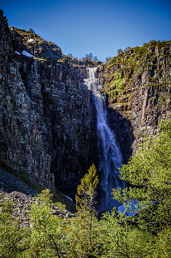 Nature, Trees, Rock, Waterfall, Branches, Precipice, Break HD phone wallpaper