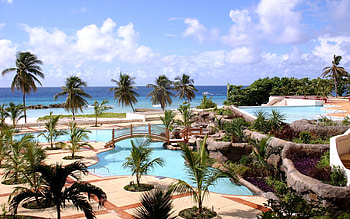 Nature, Palms, Summer, Tropics, Handsomely, It's Beautiful, Resort HD wallpaper
