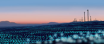 Glowing Field Anime , anime, artist, artwork, digital-art, pixiv HD wallpaper