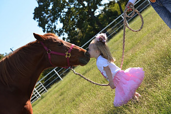 girl, Cowgirl, pretty, smile HD wallpaper