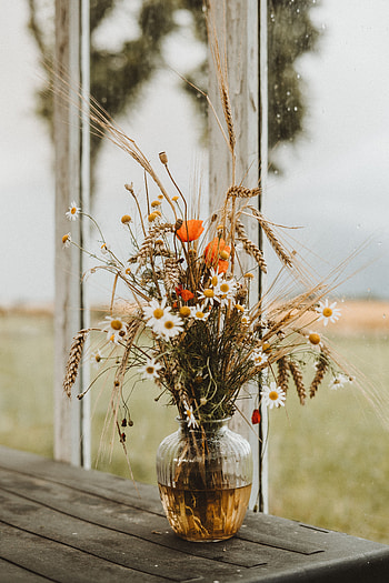 Flowers, Poppies, Cones, Camomile, Bouquet, Spikelets HD phone wallpaper
