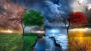 Artwork, colored trees, grass, clouds, seasons HD wallpaper