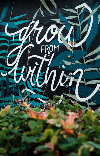 Words, Wall, Inscription, Graffiti, Door HD phone wallpaper