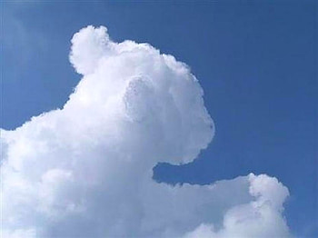 Cub in the sky, blue, formation, sky, lion cub HD wallpaper