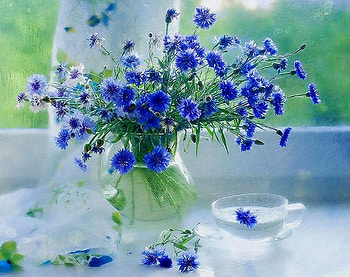 Blue dreams, , color, new HD wallpaper