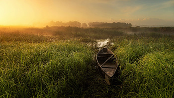Canoe, marsh, nature, sunrise HD wallpaper
