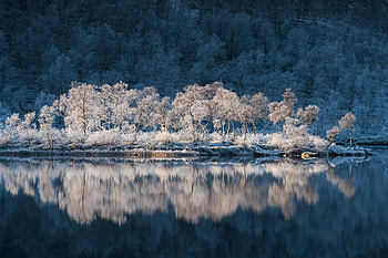 Frosted Trees, Reflection, Norway, River, Trees HD wallpaper