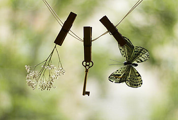 Found Things, pincers, key, butterfly, graphy, flower, things HD wallpaper