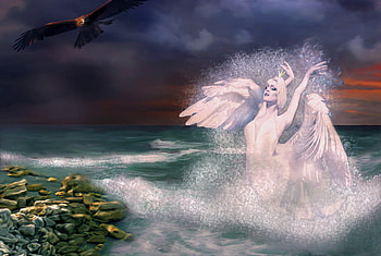 Swan Princess, shore, eagle, splash, dark sky, ocean HD wallpaper