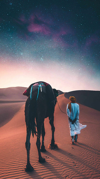 Bedouin with camel, Deserts HD phone wallpaper