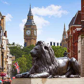 Trafalgar Square fame, Famous London attraction, Cultural heritage, Notable events HD phone wallpaper