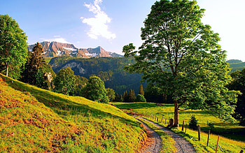 Summer in the Mountains, path, fence, landscape, clouds, trees, meadow, sky HD wallpaper