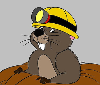 Gopher, groundhog day, cartoons, pooh HD wallpaper