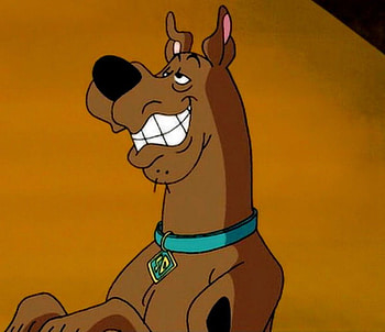 scooby big grin!!, big grin, scooby HD wallpaper
