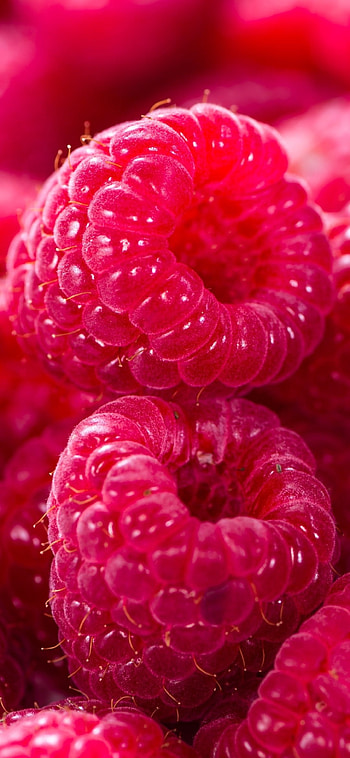 Food, Raspberry, Background HD phone wallpaper