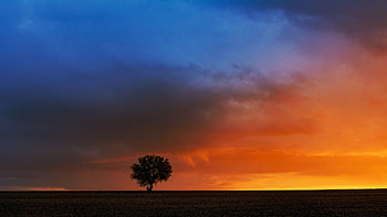 Ice and Fire, sunset in central Spain, sky, tree, sunset, colors, landscape, clouds HD wallpaper