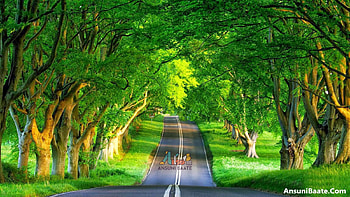 Nature Full Gallery, Good HD wallpaper