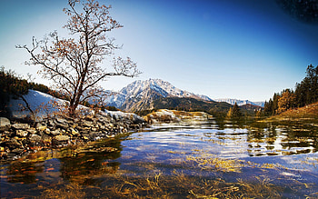 Nature, Water, Rivers, Mountains, Autumn, Bush, Transparent, Wood, Tree, Vegetation, Silence, Bottom HD wallpaper