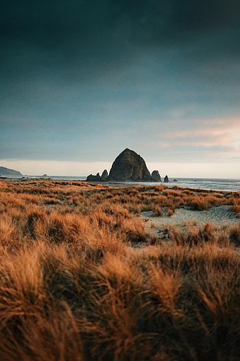Nature, Grass, Mountains, Rock, Dry HD phone wallpaper