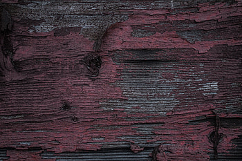 Wood, Tree, Texture, Textures, Paint, Surface HD wallpaper