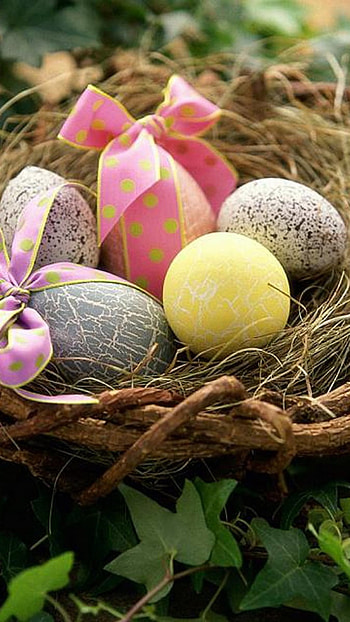 Easter, Nest, Eggs HD phone wallpaper