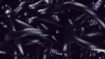 Snake skin texture, metallic HD wallpaper