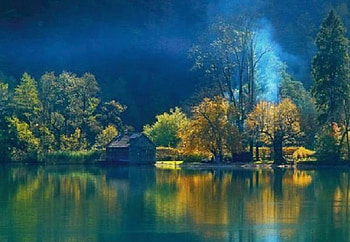reflection in the water, plants, greenery, autumn, shrubs, lake HD wallpaper