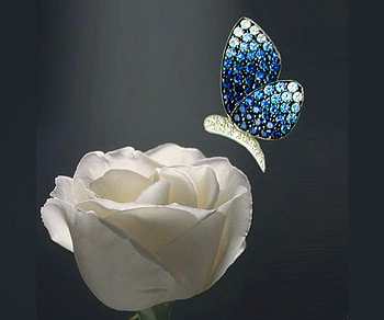 Jewelled beauty, blue, rose, white, crystals, butterfly, jewellry HD wallpaper