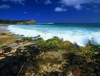 Waves crashing on beach, waves, beaches HD wallpaper