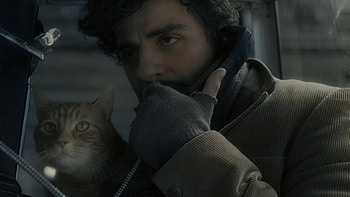 Inside Llewyn Davis, Critically acclaimed, Criterion Collection review, Redvdit HD wallpaper