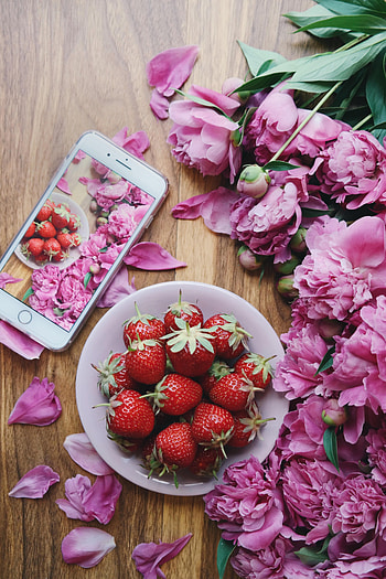 Flowers, Food, Strawberry, Peonies, Tele HD phone wallpaper