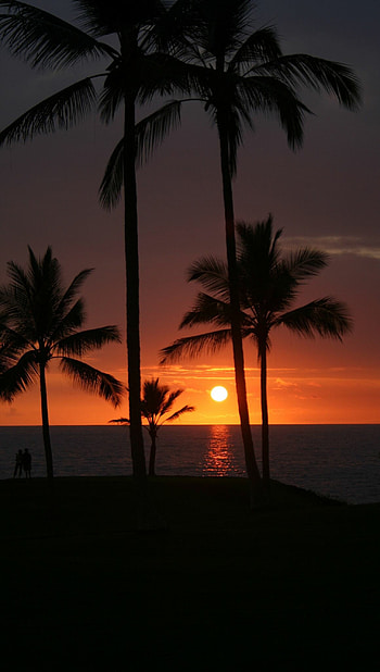 Hawaiian sunset, Tropical paradise, Nature's glory, Postcard-worthy scenery HD phone wallpaper