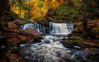 Cayuga Falls, waterfall, forest, autumn, Kitchen Creek, evening, sunset, Ricketts Glen State Park, Pennsylvania, USA HD wallpaper