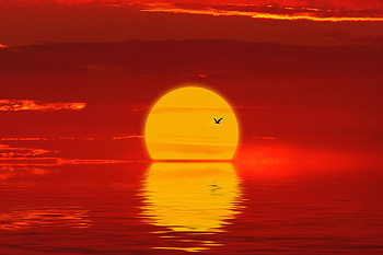 Sun, sunset, minimal, silhouette HD wallpaper