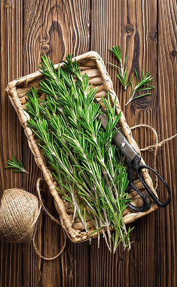 Rosemary tea, Benefits of, For hair, Healthier steps HD phone wallpaper