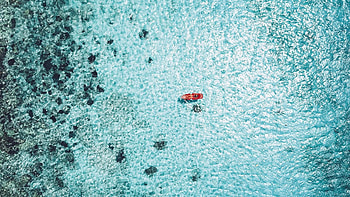 Things to do in Cozumel, Activity guide, Sightseeing options, Exciting adventures HD wallpaper