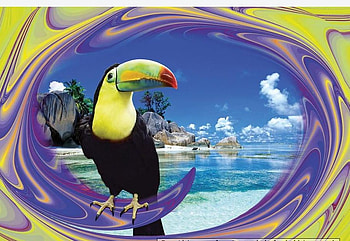1000 PC, puzzle, bird, pieces, 1000 HD wallpaper