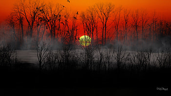 River Sunset Fog, mist, river, fog, trees, sky, sunset HD wallpaper